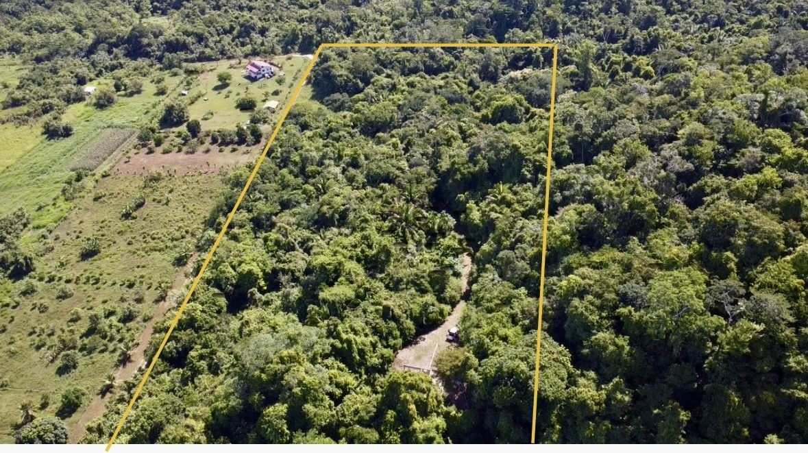 🌿13 Acres of Wild Luxury – Off-Grid Sanctuary Near ATM Cave, Private | Elevated | Ready-to-Build