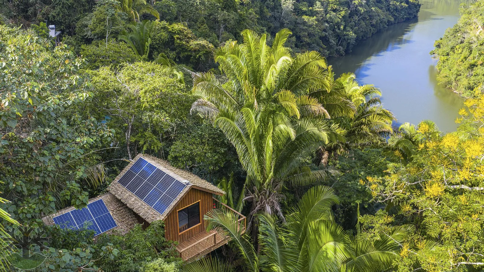 A Unique Treehouse perched atop the Macal River!