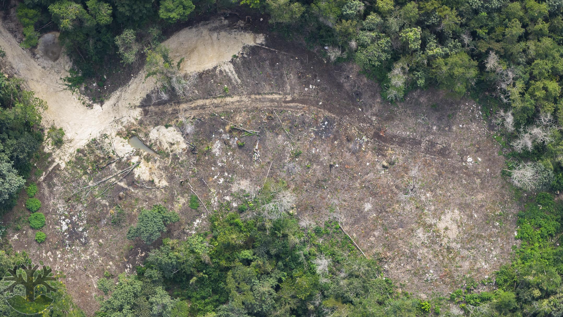 A 63-Acre Investment Property in Western Belize!