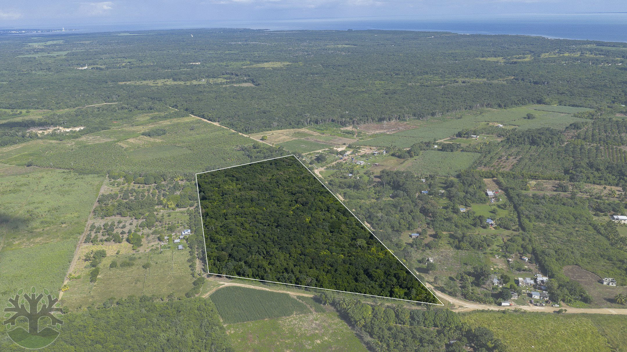 20 Acre Parcel near Corozal Town w/ Utilities & Access!