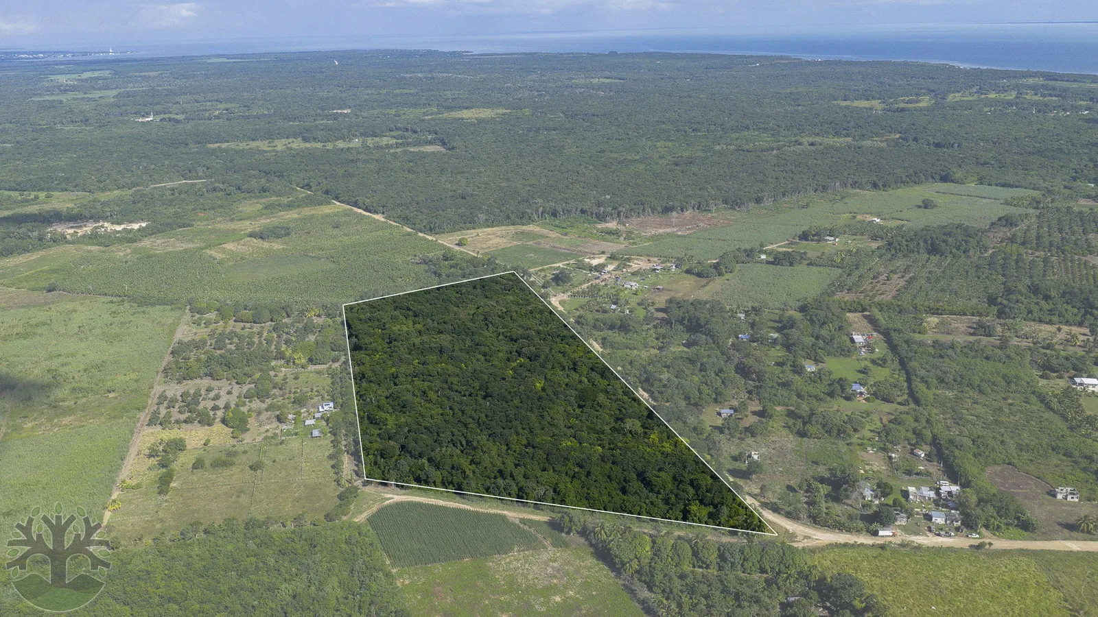 20 Acre Parcel near Corozal Town w/ Utilities & Access!