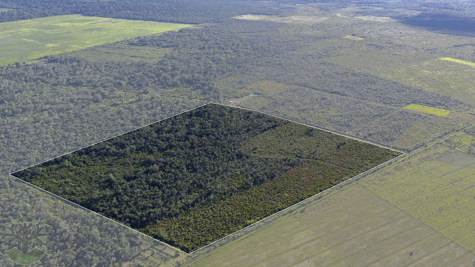 50-Acre Investment Property in Cadena Creek Area