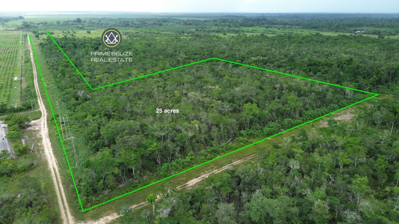 High-Potential 25-Acre Farmland – Just 10 Minutes from Dangriga