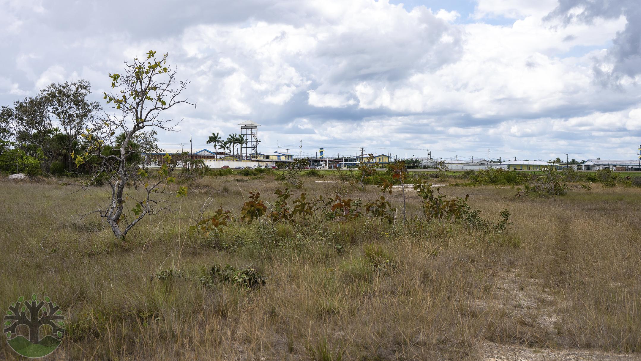 74-Acre Investment Property with Main Road Frontage!