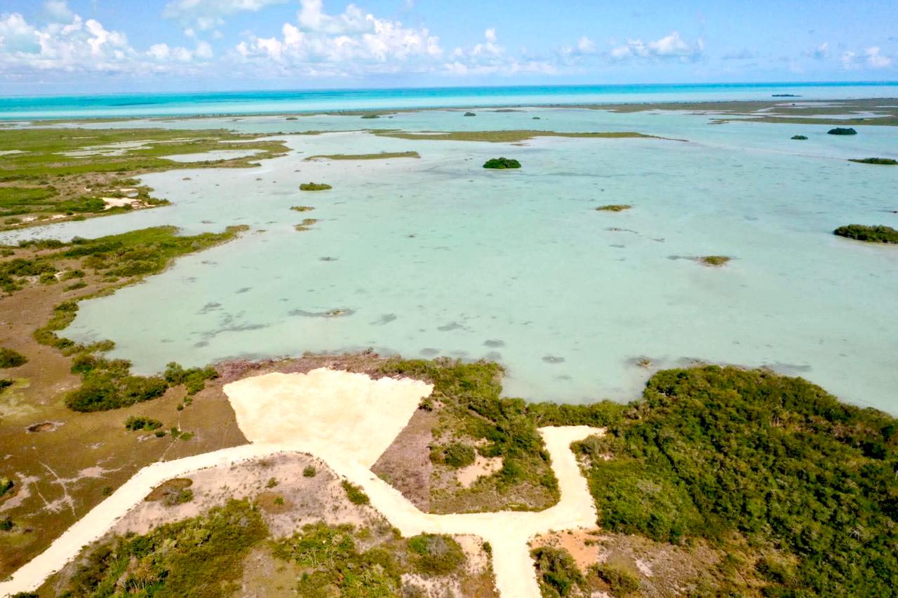 There are still a few lots available in a new subdivision in sarteneja LAGUNA ESCONDIDA.