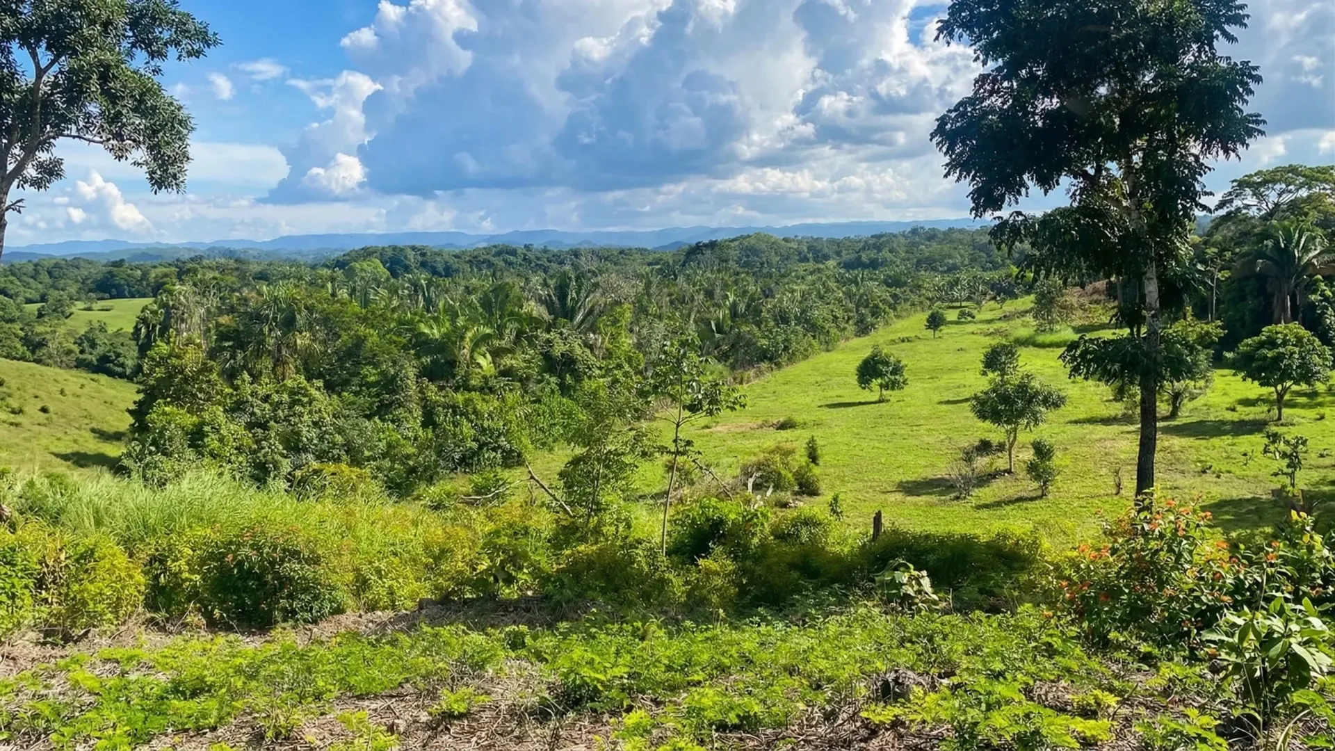 Beautiful 30 Acres Farm, Cayo District
