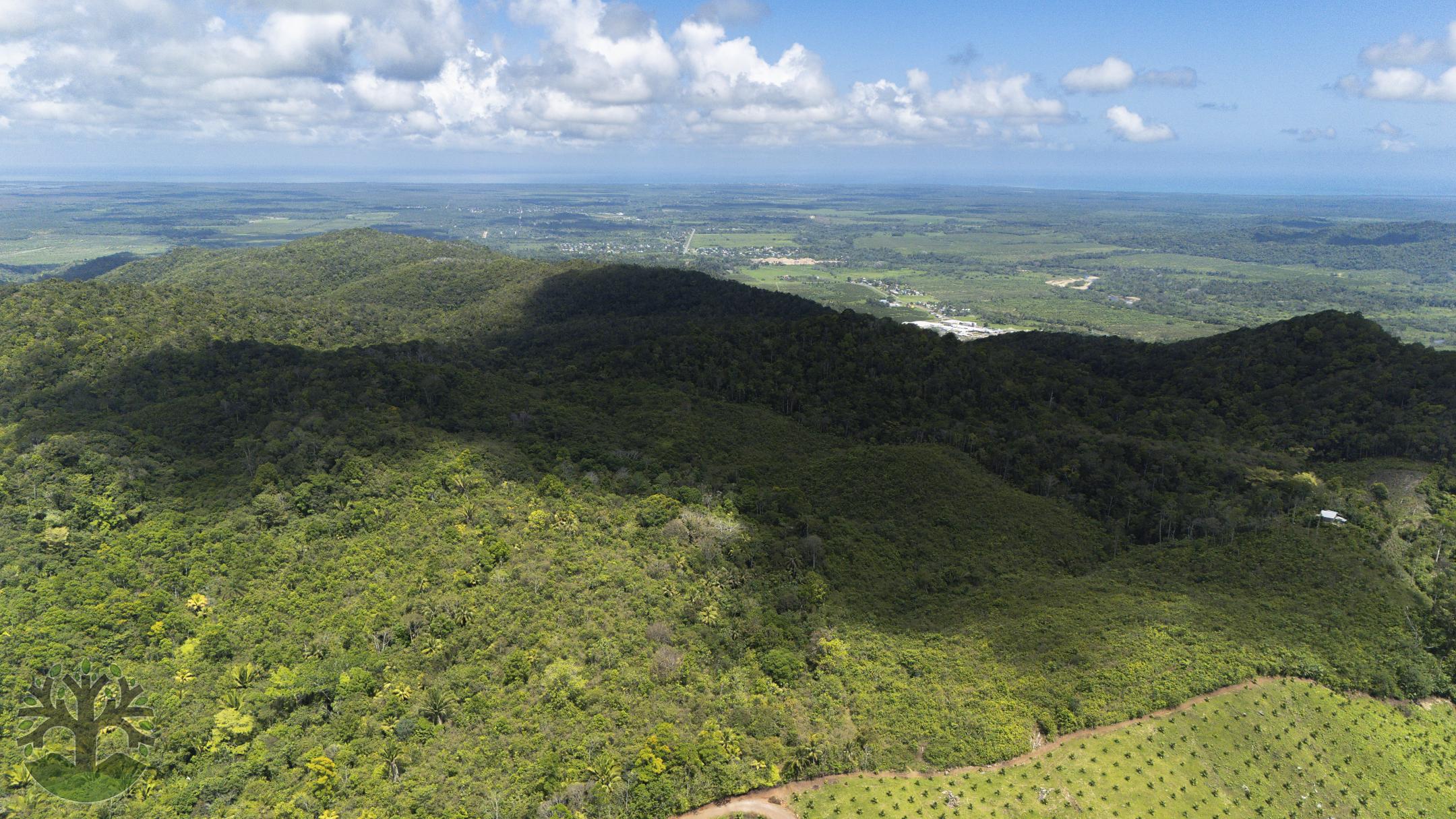 50 Acres Scenic Property Off The Hummingbird Highway