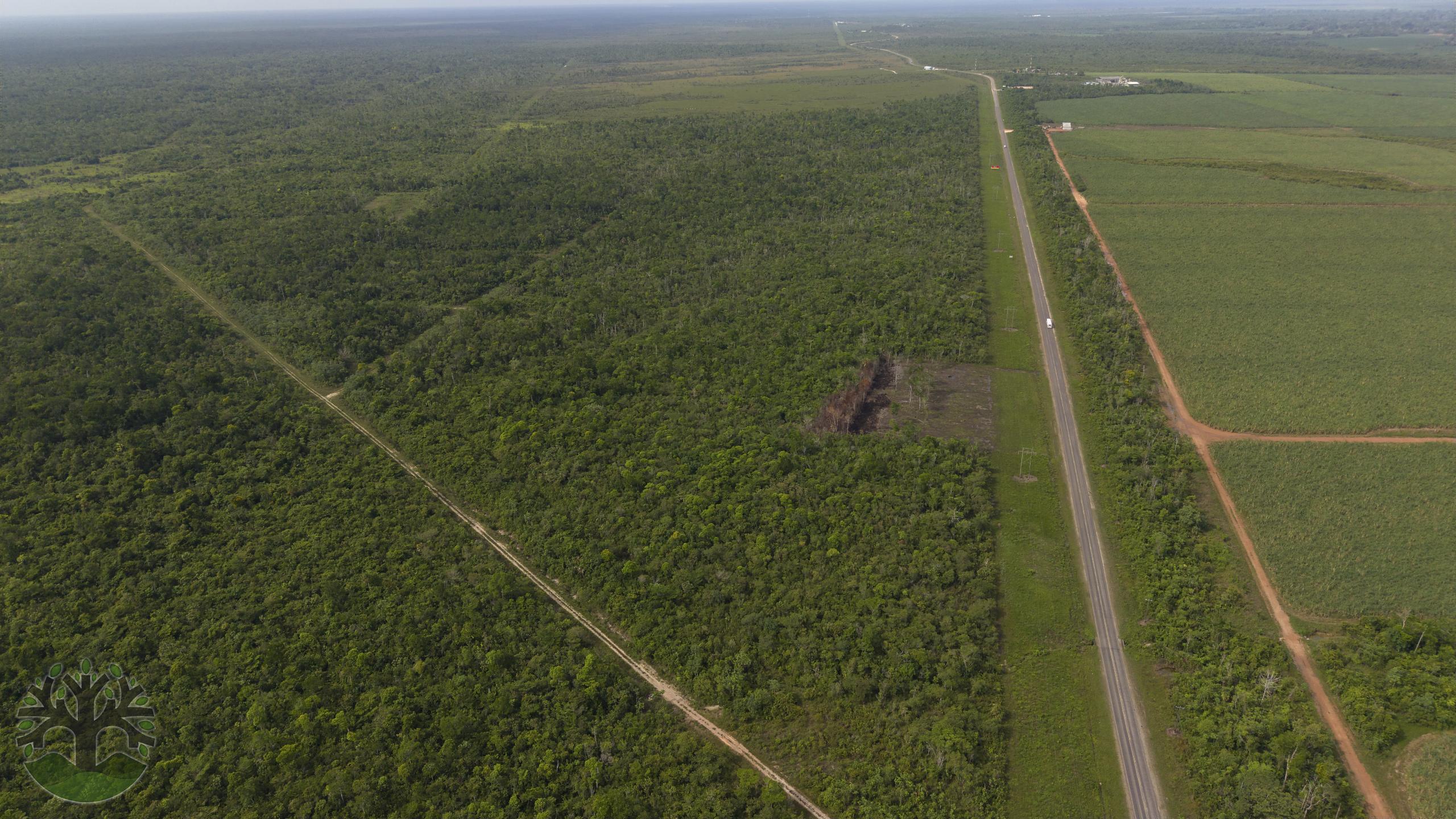 A 10-Acre Commercial Tract with Direct Hwy Frontage!