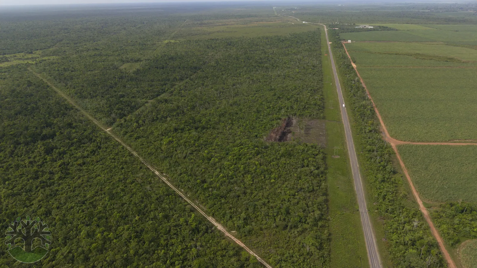 A 10-Acre Commercial Tract with Direct Hwy Frontage!