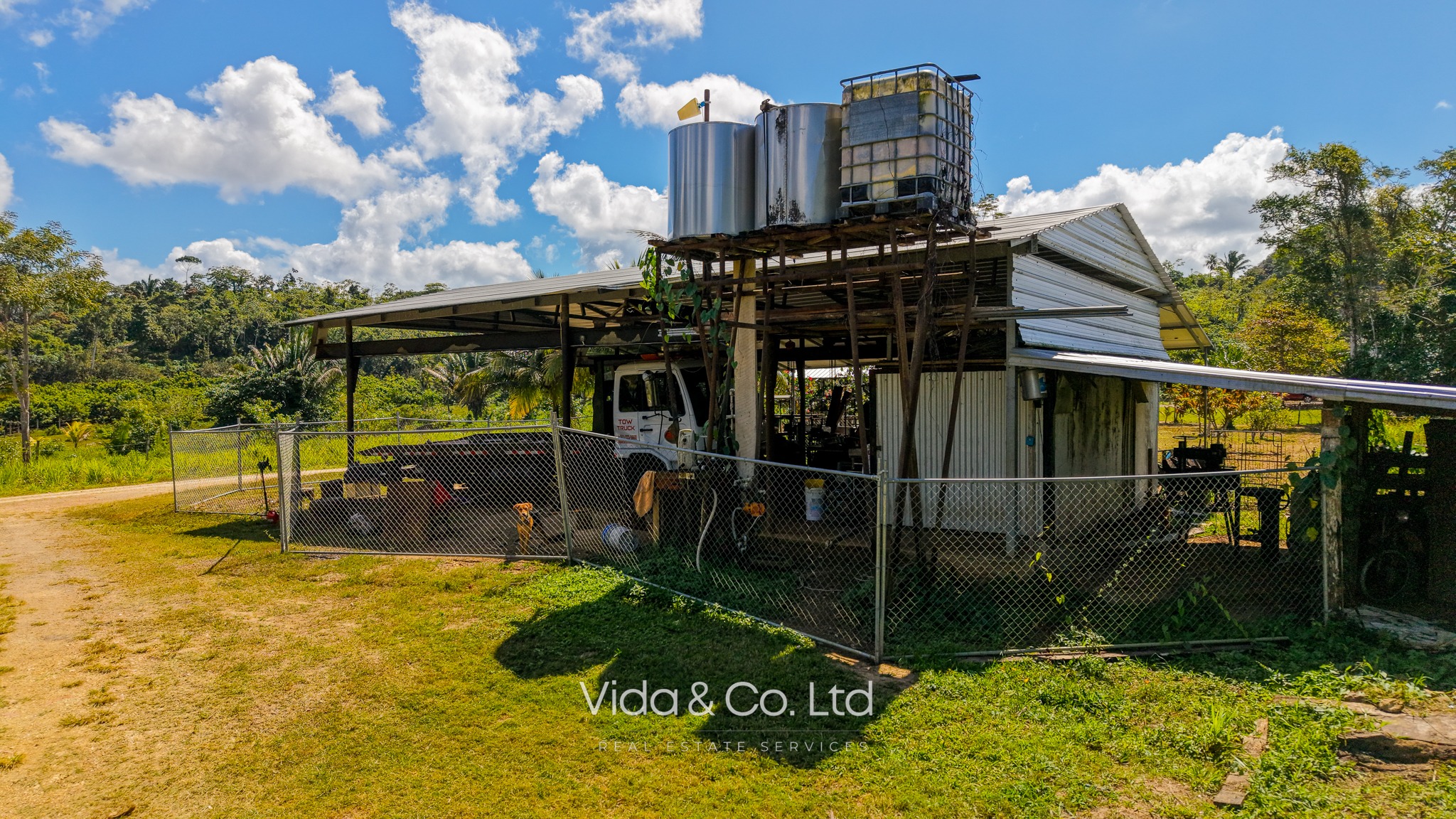 Turnkey 5-Acre Homestead for Sale Agua Viva, Belmopan Belize