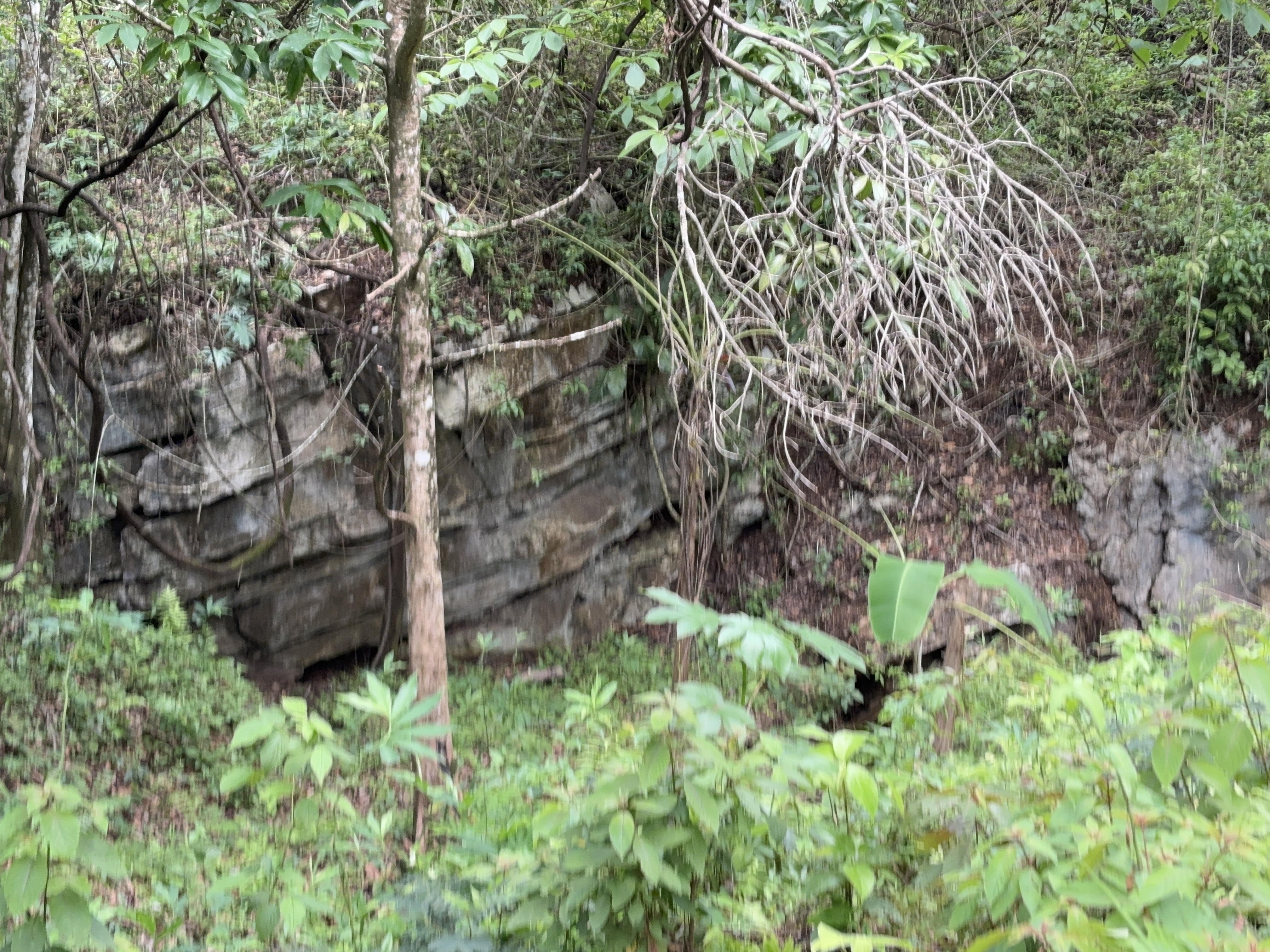 50 Acres of History, Character & Untapped Potential – Upper Barton Creek, Belize.