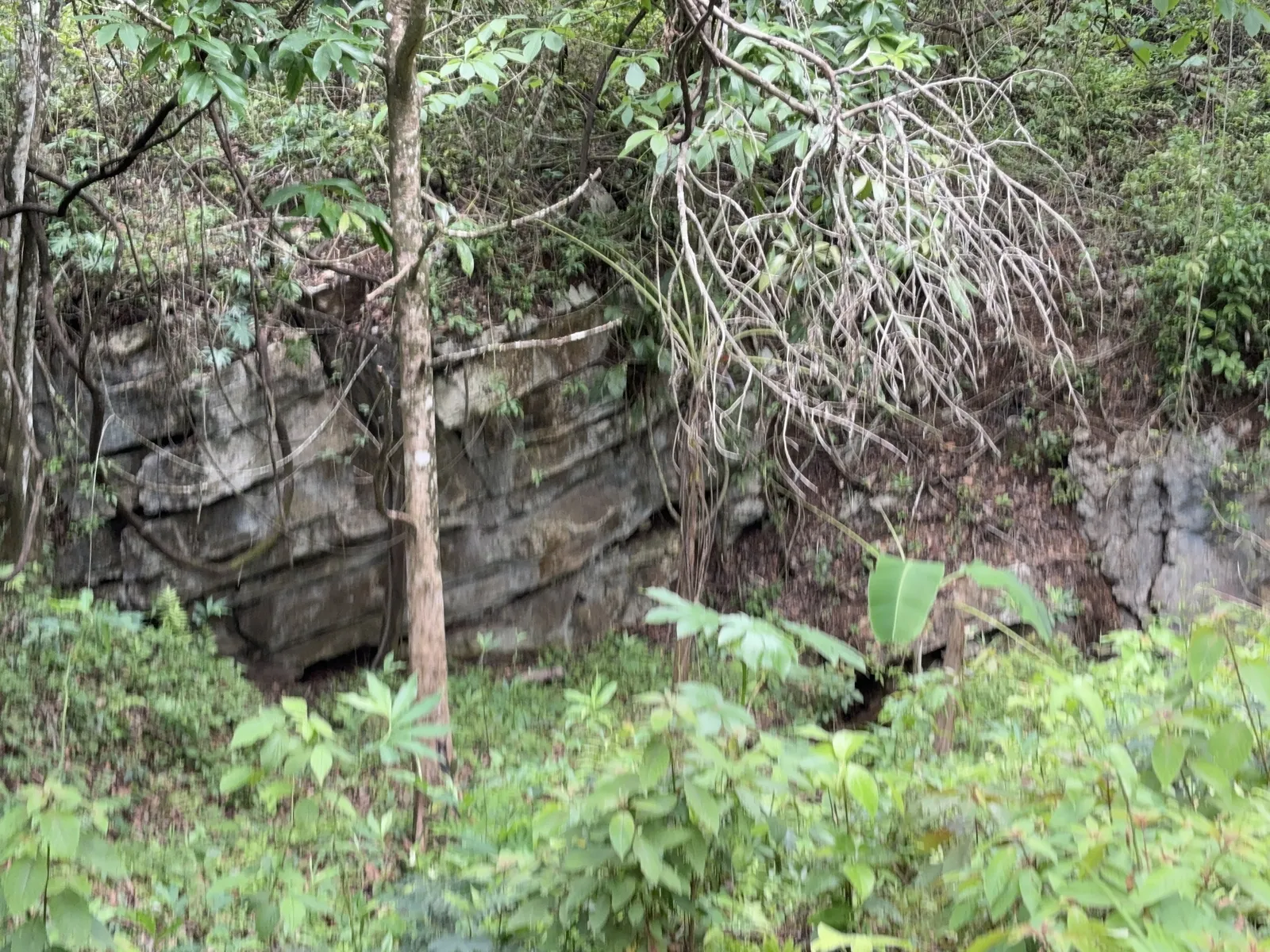 50 Acres of History, Character & Untapped Potential – Upper Barton Creek, Belize.