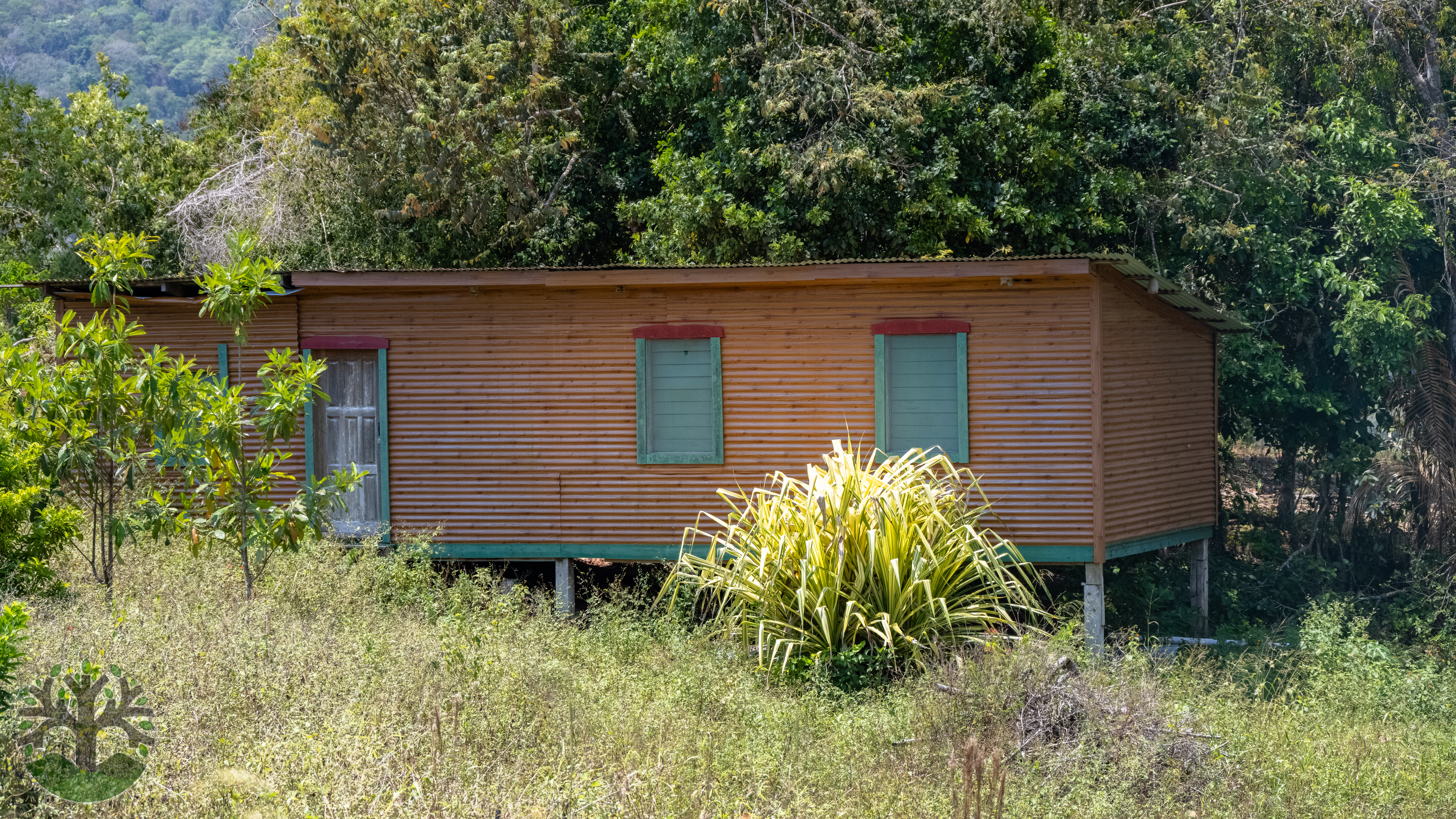 A fully fenced 1/3-acre property with rustic cabin!