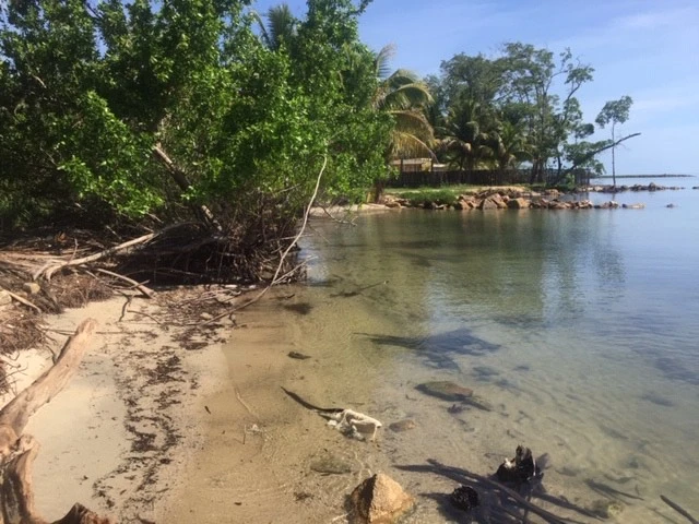 PL0098 – 1.15 Acre Prime Beachfront Property for Sale in Commerce Bight, Dangriga Town