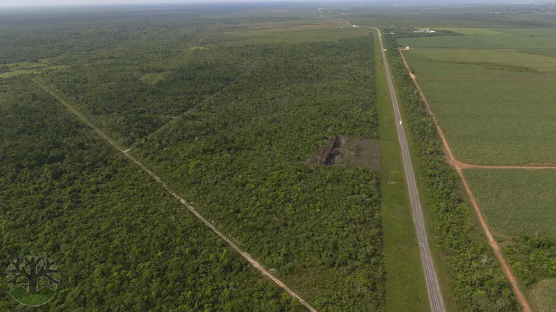 A 10-Acre Commercial Tract with Direct Hwy Frontage!
