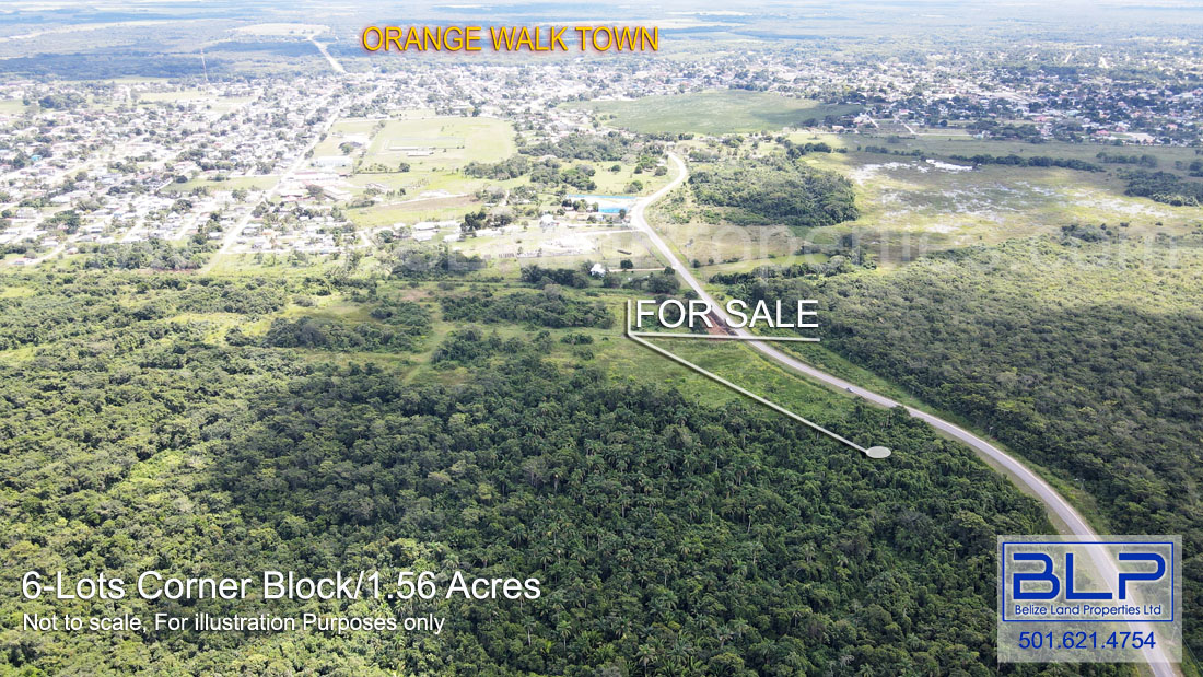 6-Lot Corner Block total 1.56 Acres on San Antonio Road