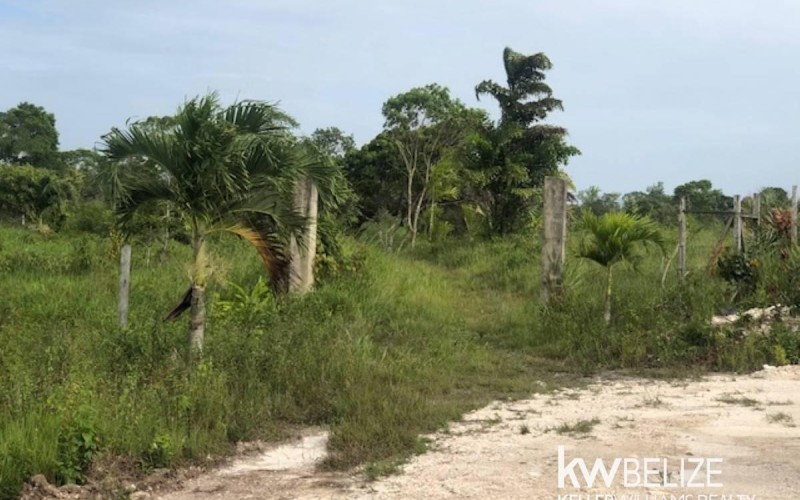 #7 Acres Prime Development Land in San Ignacio For Sale Mountain Top Views