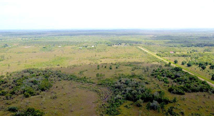 70-Acre Property in Northern Burrell Boom Village, BELIZE
