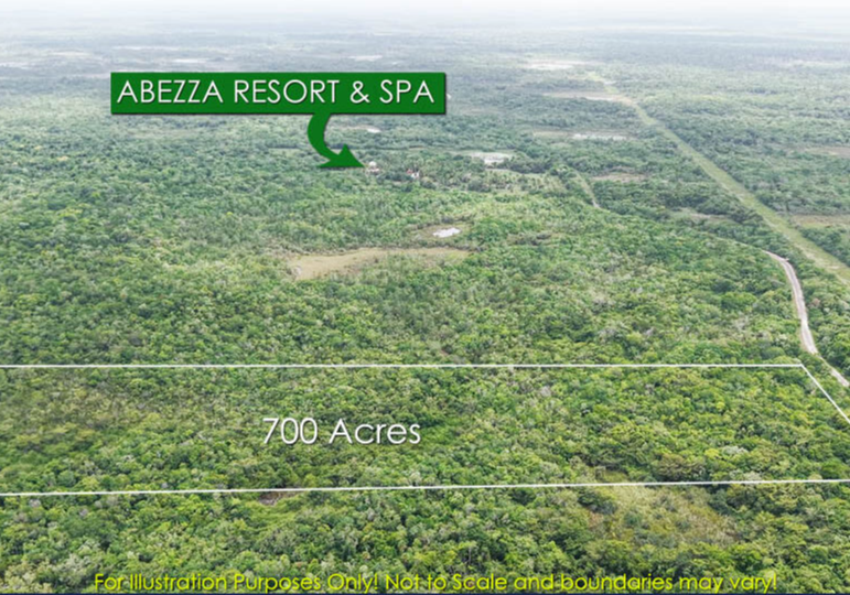 700-Acre Investment Land with Mixed Hardwood on Maskall Road, Belize