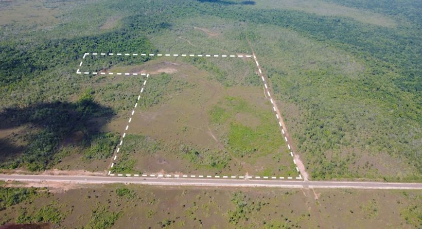 77.84 Acres along the Coastal Highway and South of Cornhouse Creek, Belize