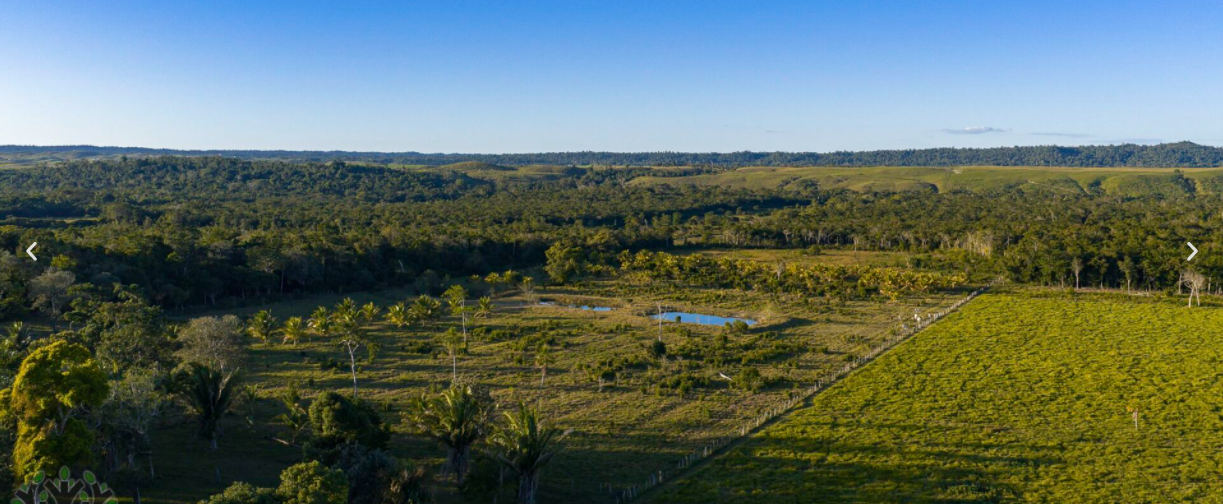 85-ACRE RANCH WITH CREEKFRONT & PONDS IN WESTERN BELIZE!