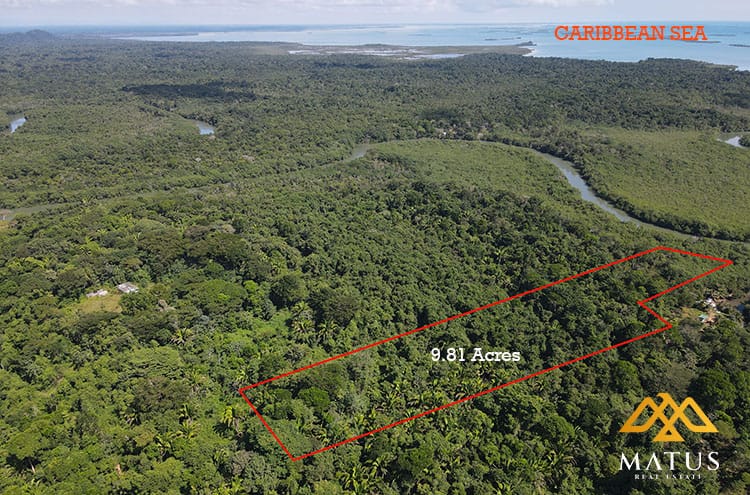 9.81 Acres of Undeveloped Land Toledo