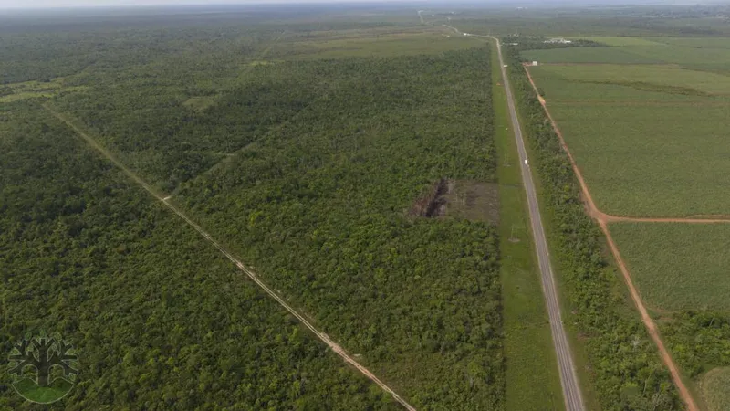 A 10-Acre Commercial Tract with Direct Hwy Frontage!