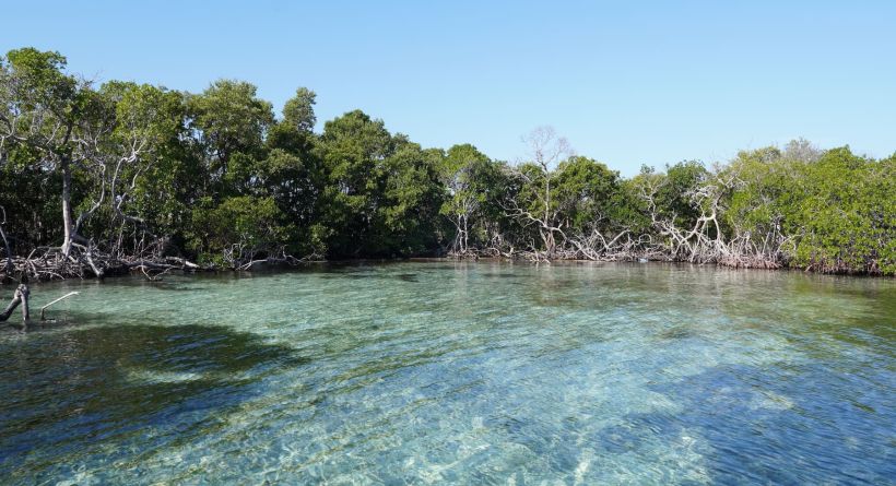 Accoutrement Caye - 19.3-Acre Island Property Northeast of Placencia, BELIZE