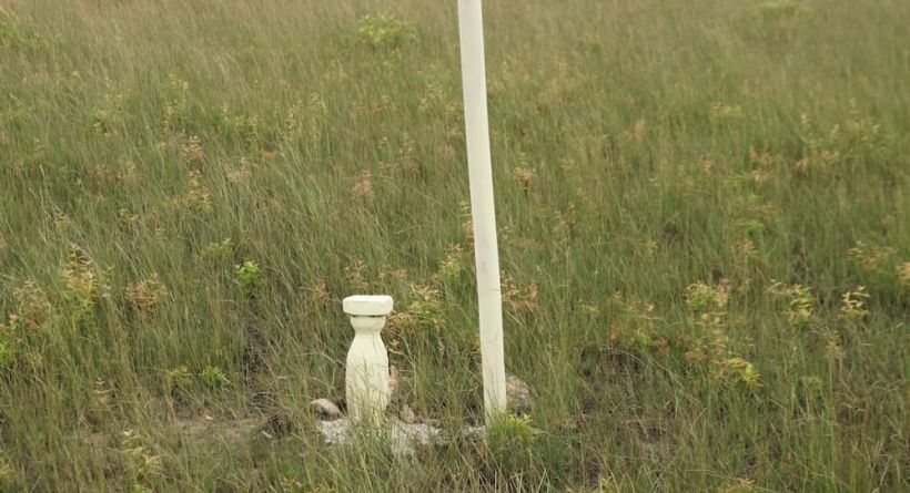 Affordable 60' x 100' Lot in Tropical Park, Mile 14 George Price Highway.
