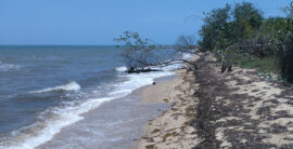 Affordable beachfront lot in Mayacan