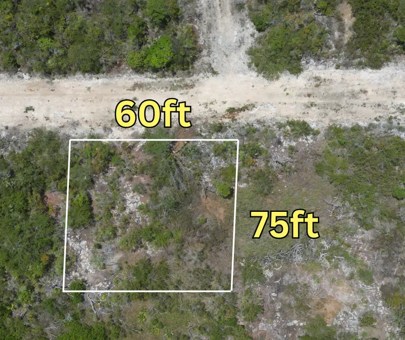 GRAND BELIZEAN ESTATE LOT 7059