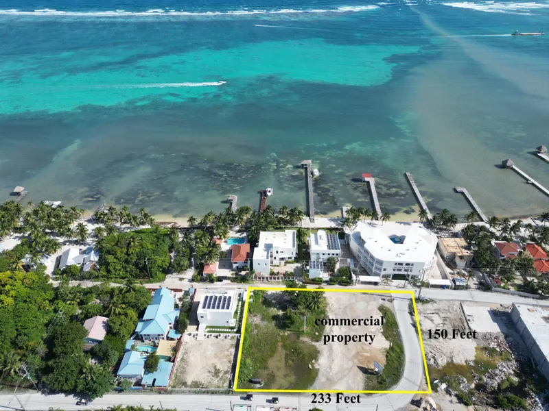 COMMERCIAL PROPERTY IN THE TRES COCOS AREA