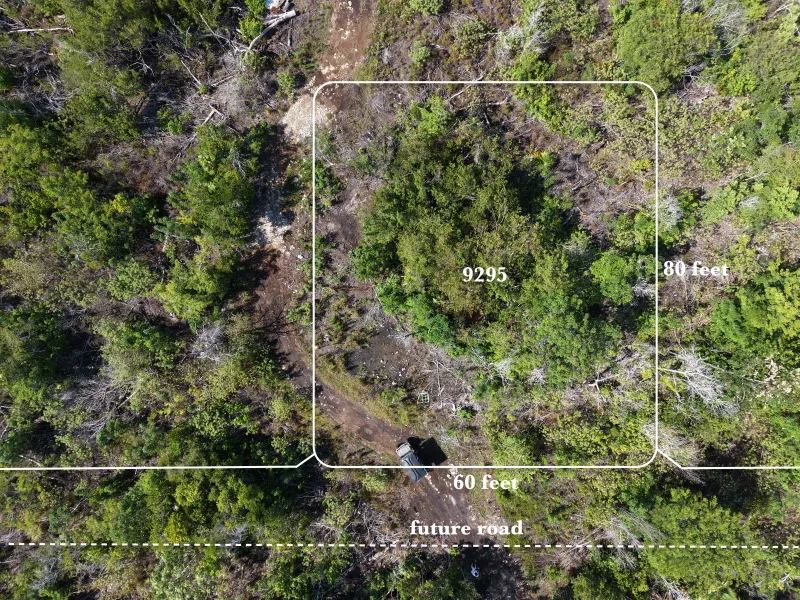 COLONIA SAN DIEGO LOT 9295