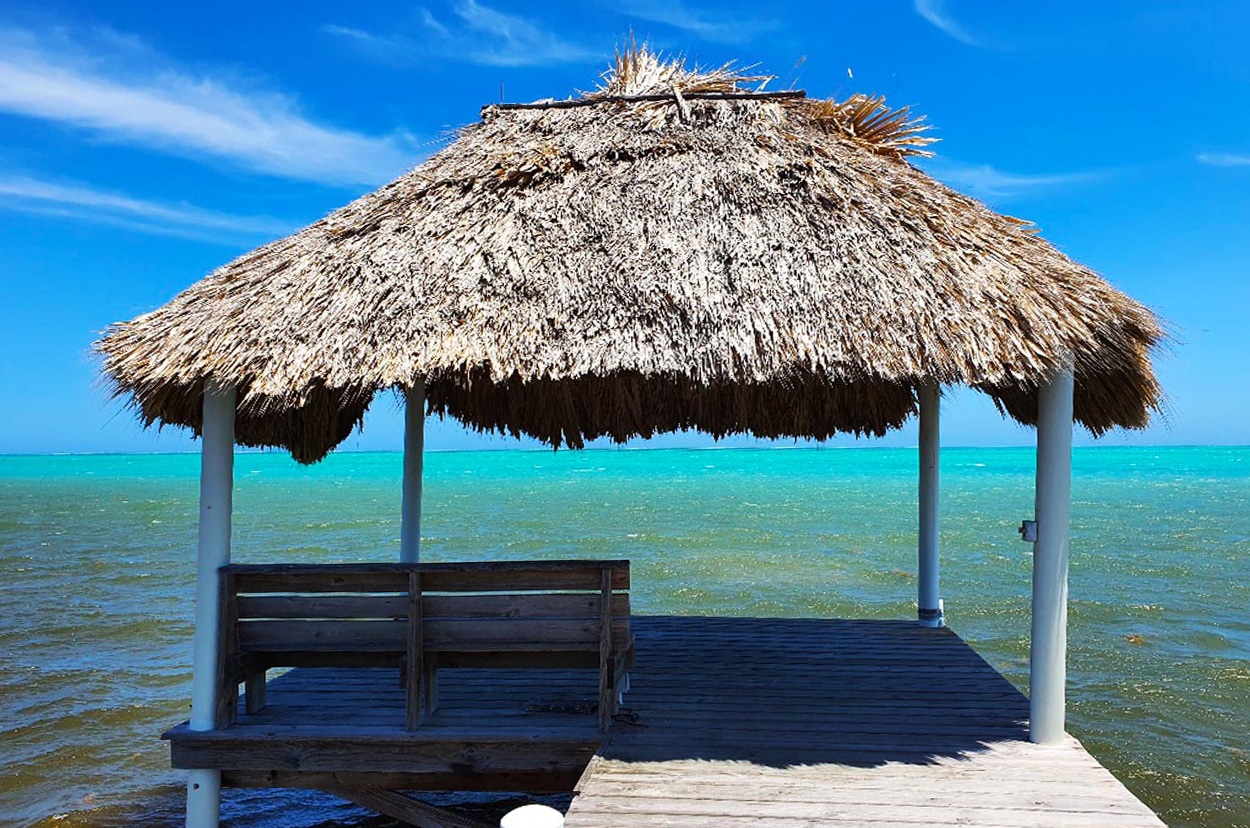 Affordable South Island Properties