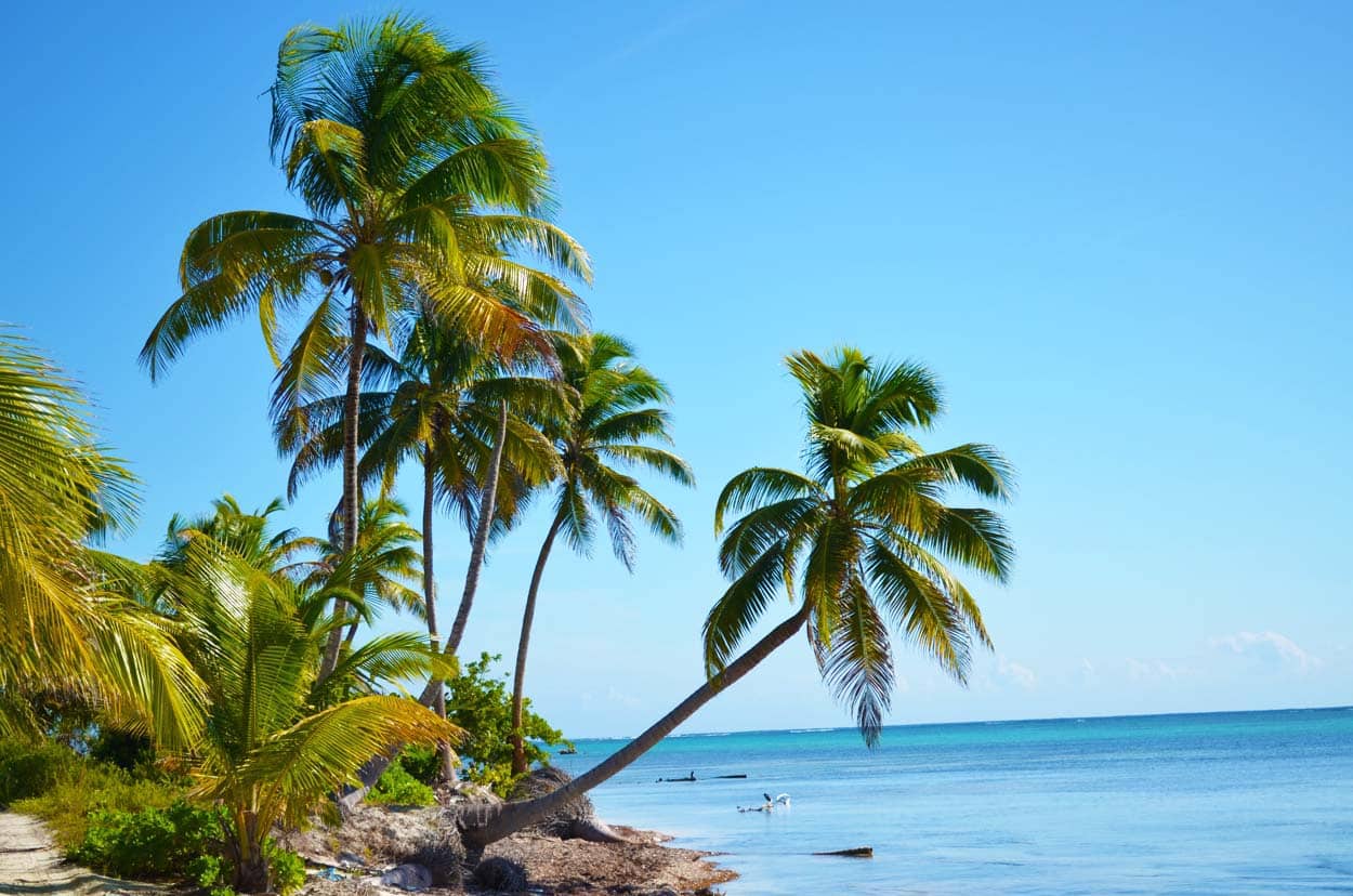 Punta Azul Beach Access