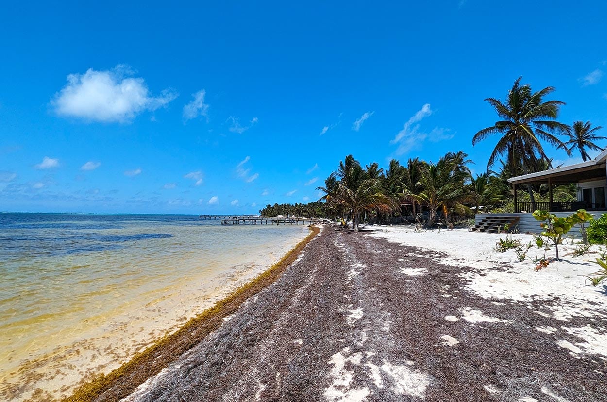 Spanish Reef Beachfront