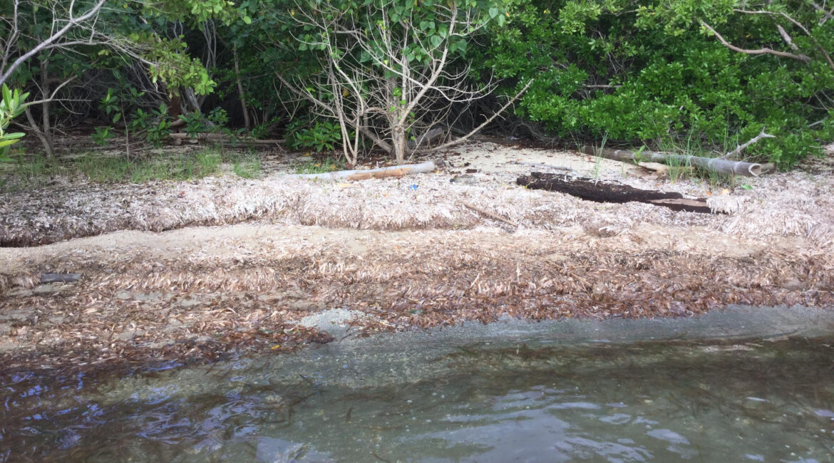 An Investors Dream! 15 acres of Beachfront South of Hopkins
