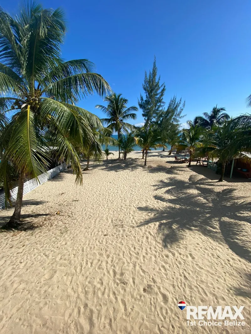 Beachfront Property In The Heart Of Placencia