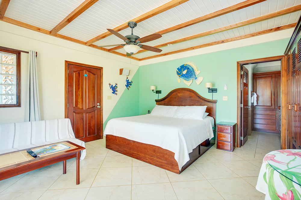 Beautiful Income Earning Beach Front Guest House in Hopkins
