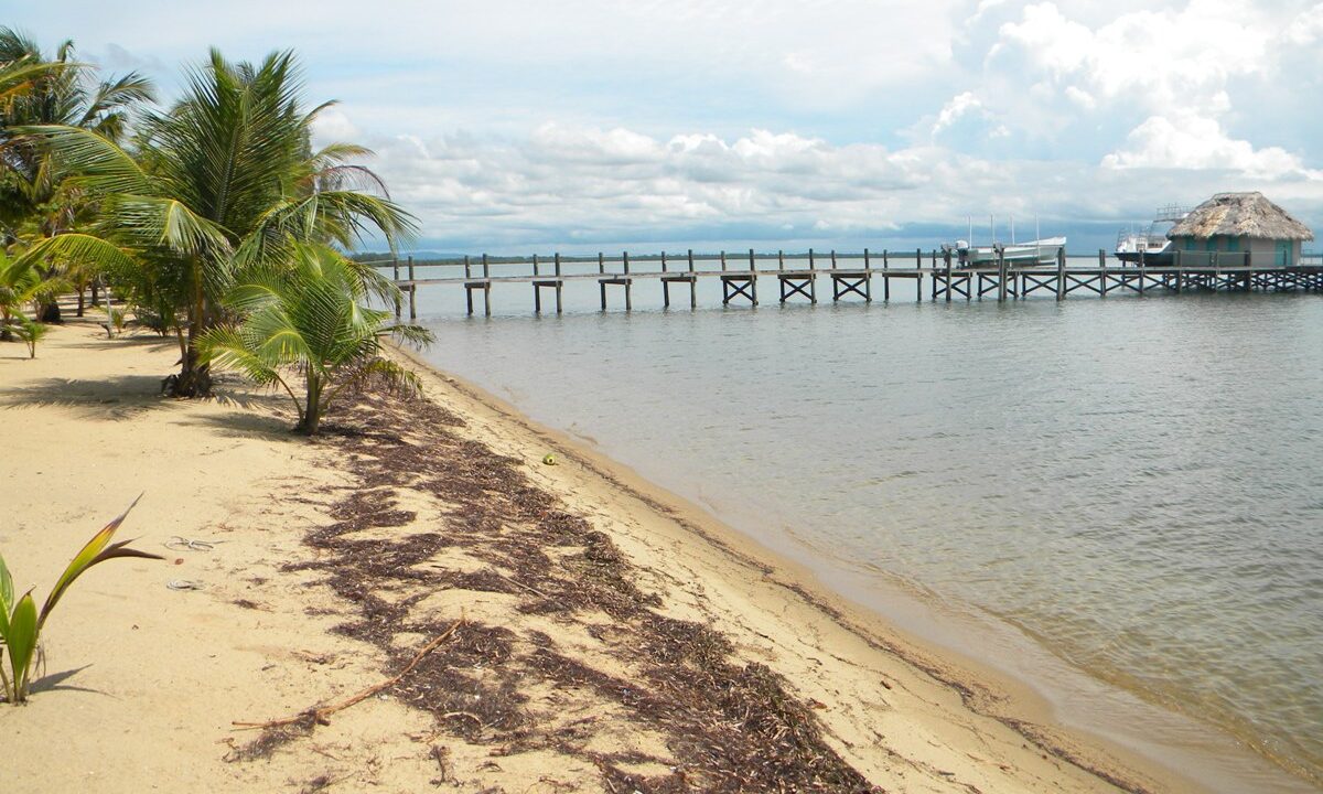 Beautiful Sandy Beach Front lot
