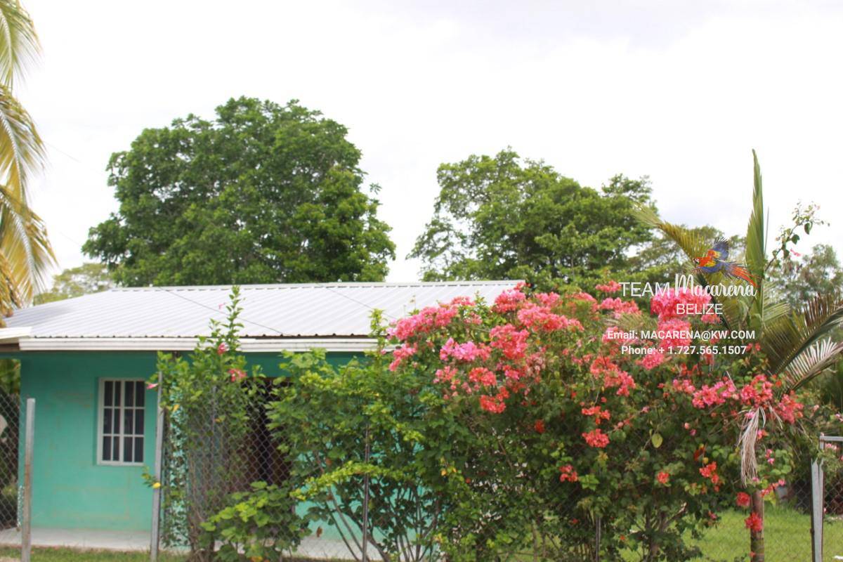 Home with Fruit Orchard in San Ignacio