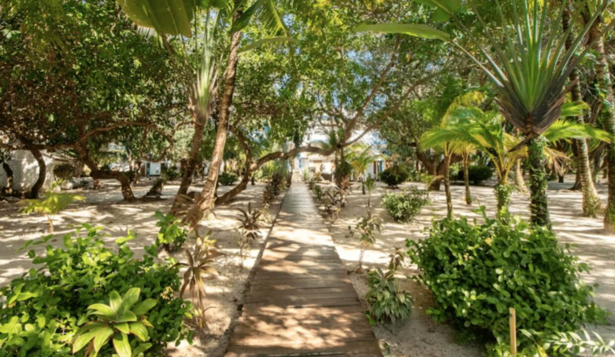 Belize Land for Sale: Oceanfront Condo in the Heart of Placencia!