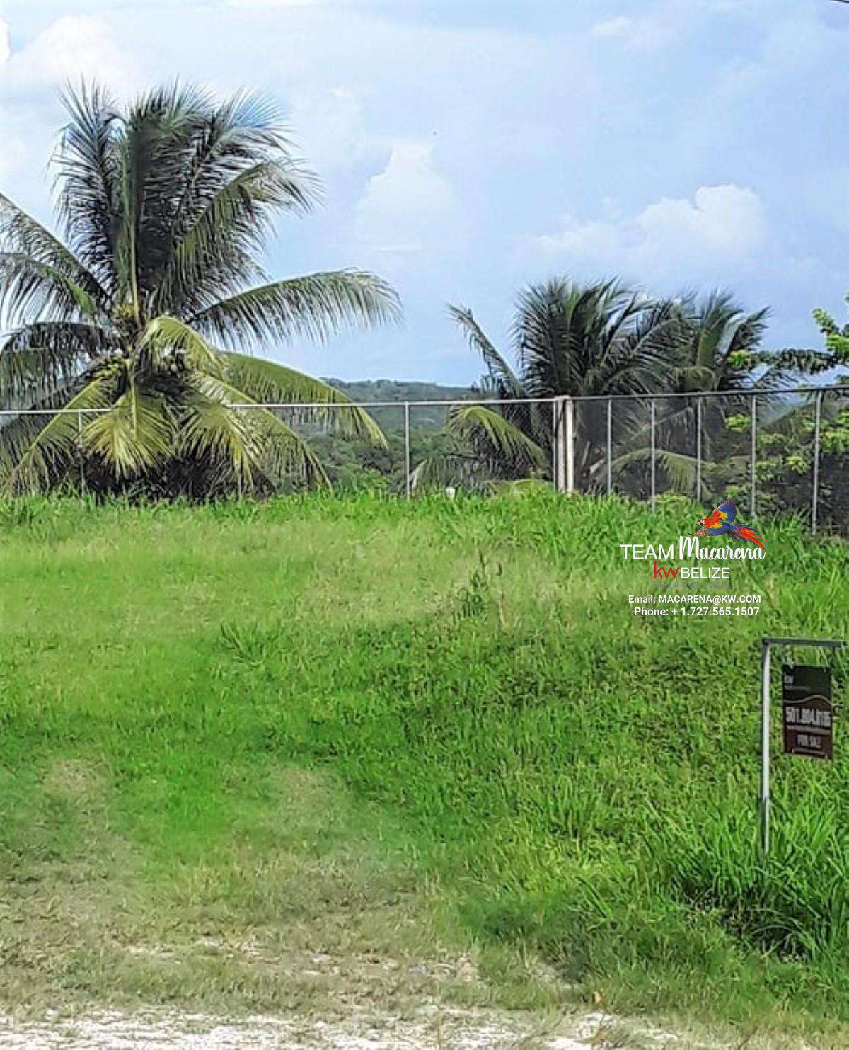 Mountain View Lot on the Southern Edge of San Ignacio
