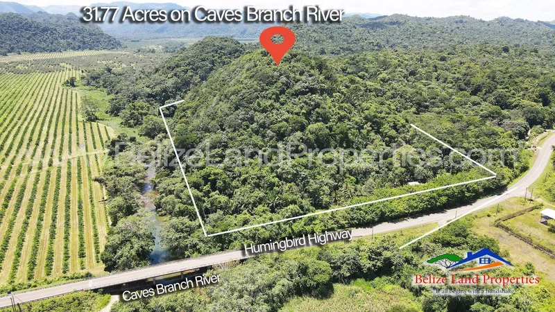 Belize Resort Property Potential! 31.77 Acres with over 1,600 feet of Caves Branch River!