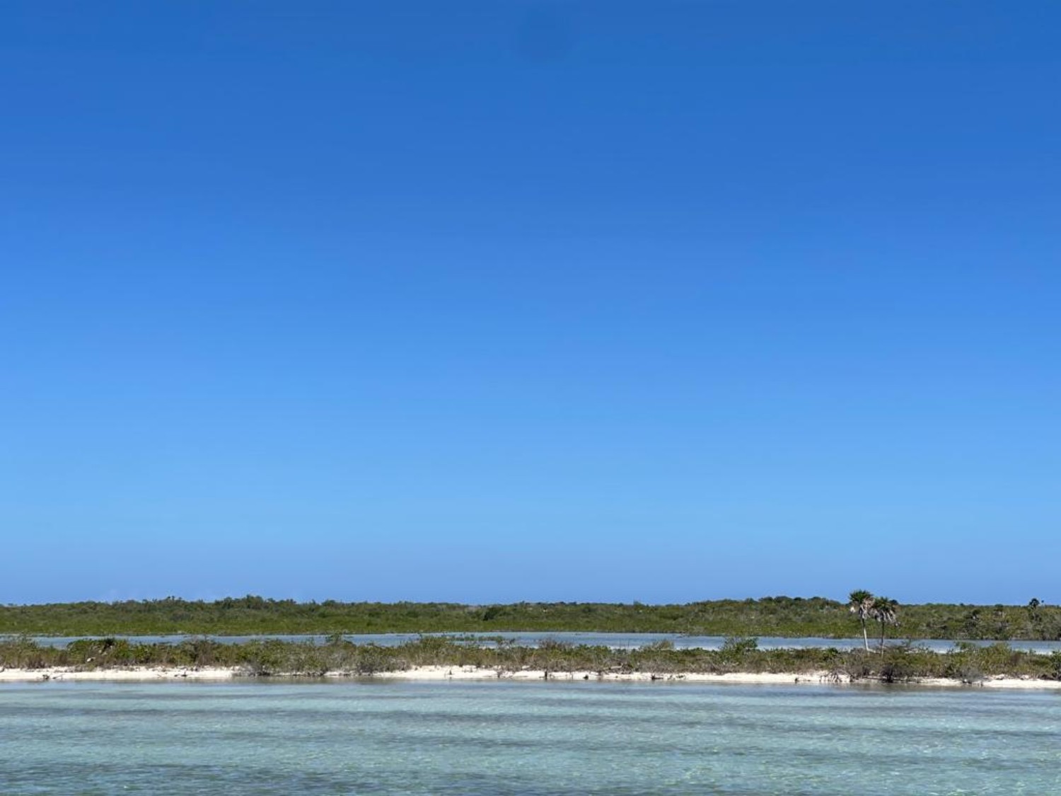 27 Acres Beachfront Land in Ambergris Caye Belize | Near Secret Beach