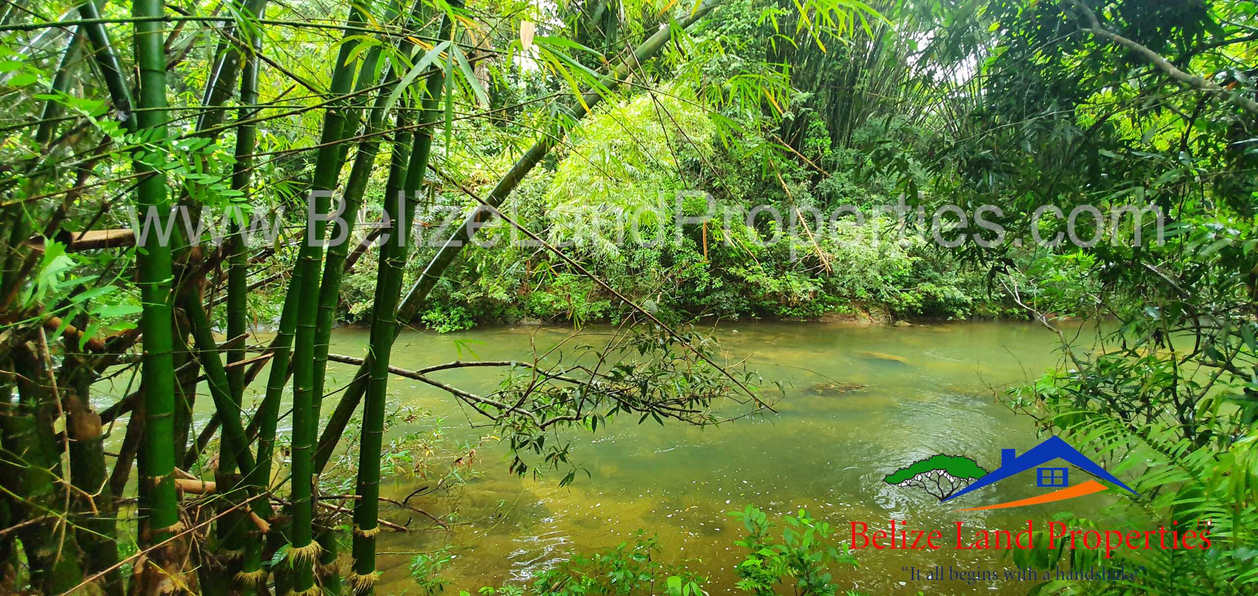 10 ACRE FARM ON MULLINS RIVER FOR SALE IN BELIZE REAL ESTATE: SC108