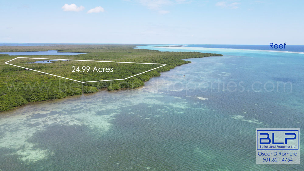 24.99 Acres on Eastern Turneffe