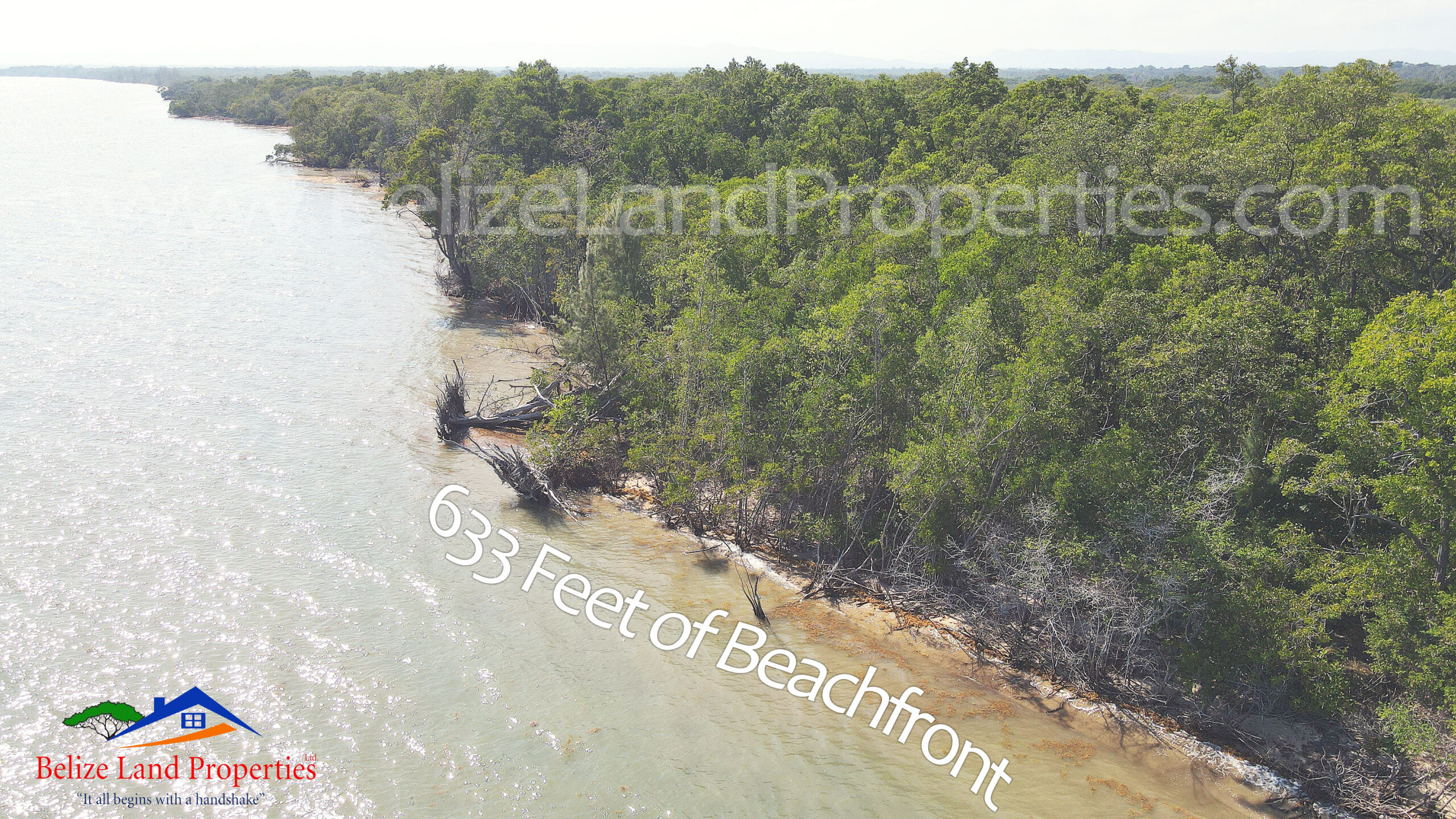 24.79 ACRES WITH 633 BEACHFRONT, LAGOON AND CREEK FRONTAGE, COMMERCE BIGHT, DANGRIGA, STANN CREEK! BEACHFRONT REAL ESTATE IN BELIZE FOR SALE! ID-SC109