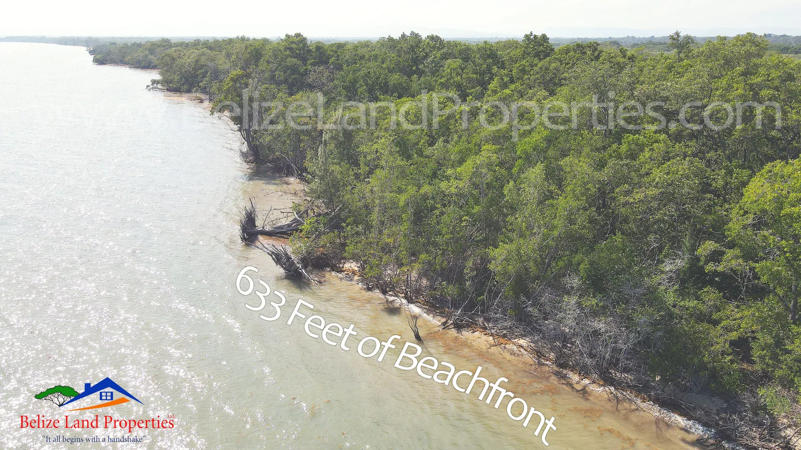 24.79 ACRES WITH 633 BEACHFRONT, LAGOON AND CREEK FRONTAGE, COMMERCE BIGHT, DANGRIGA, STANN CREEK! BEACHFRONT REAL ESTATE IN BELIZE FOR SALE! ID-SC109