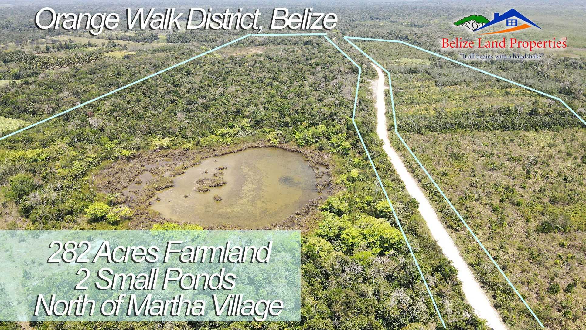 282 ACRE FARMLAND WITH A CENOTE AND A POND NORTH OF SANTA MARTHA VILLAGE, ORANGE WALK DISTRICT IN BELIZE! BELIZE REAL ESTATE ID-OW29 FOR SALE